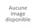 Aigle
